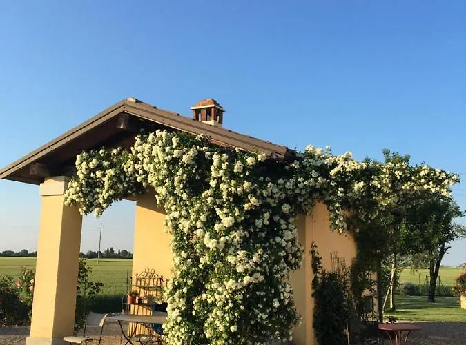 15km From Bologna Budrio (Bologna)