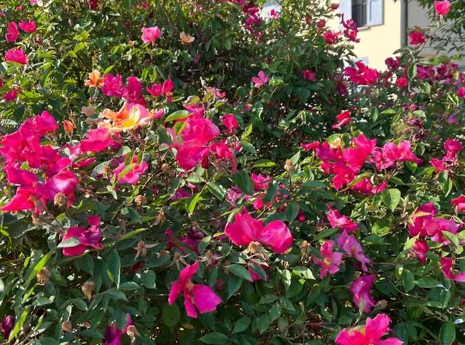 度假居 15km From Bologna 布德里奥